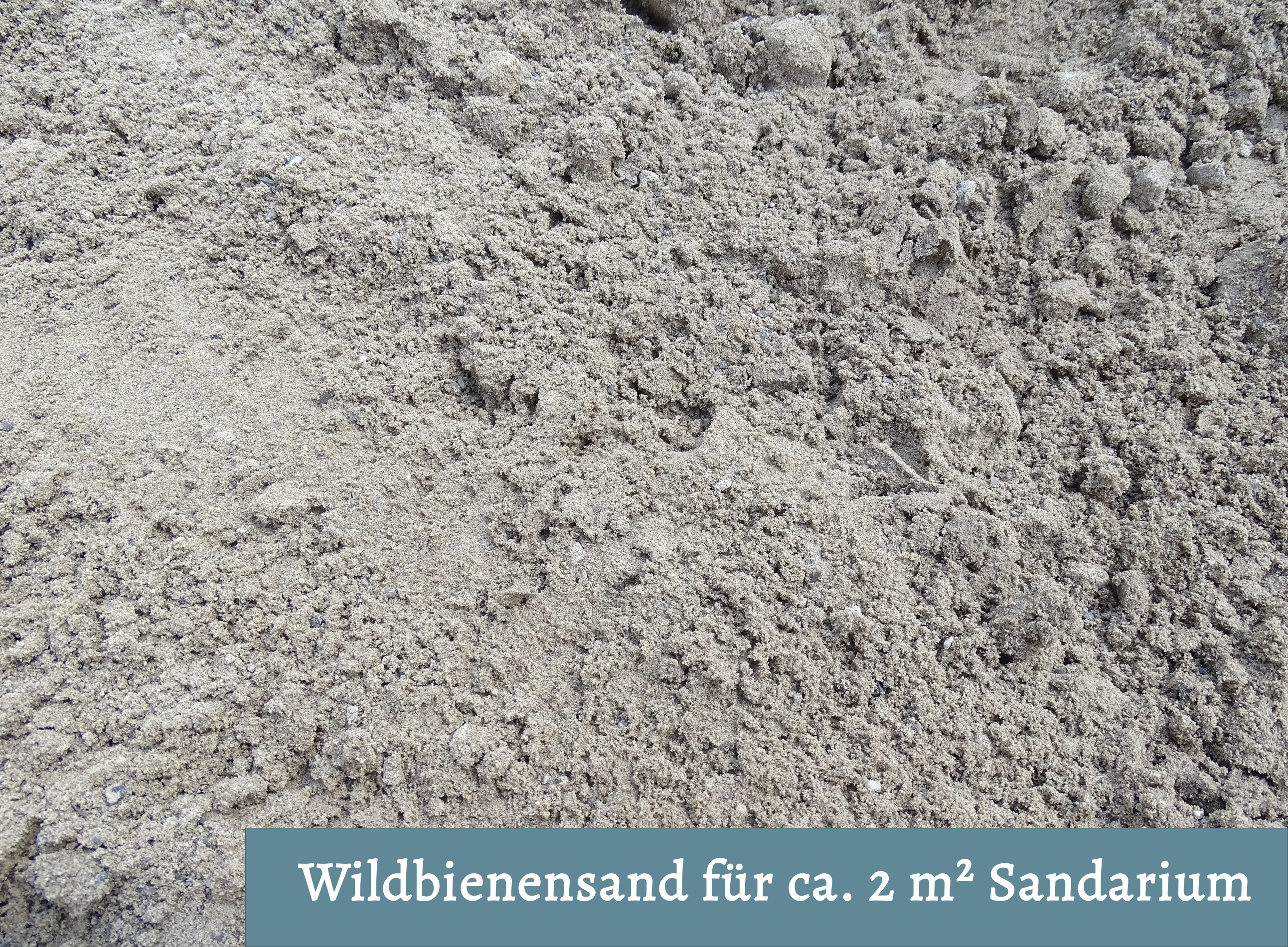 Wildbienensand für Sandarium 2,0 m²